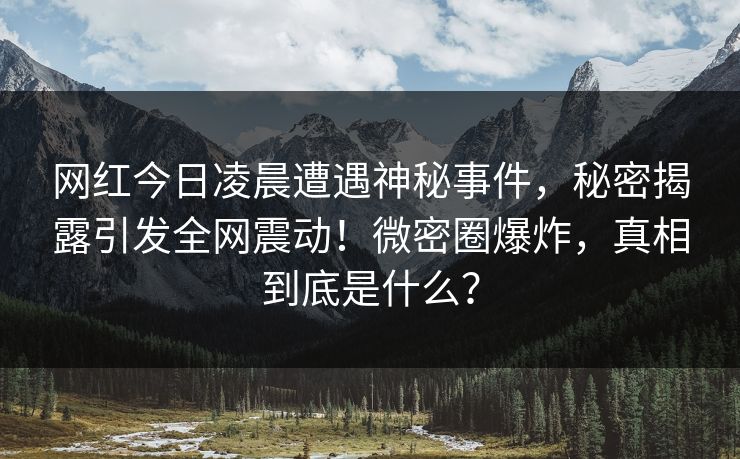 网红今日凌晨遭遇神秘事件，秘密揭露引发全网震动！微密圈爆炸，真相到底是什么？