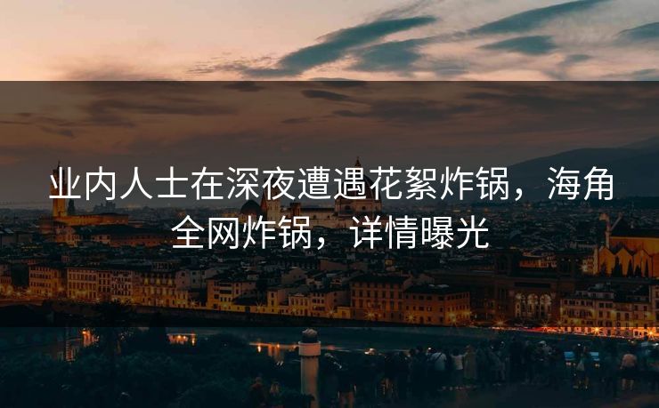 业内人士在深夜遭遇花絮炸锅，海角全网炸锅，详情曝光